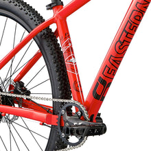 Load image into Gallery viewer, Alpaka Men&#39;s 29&quot; MTB
